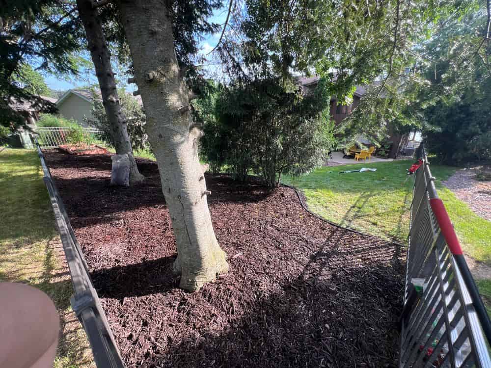 Yard Cleanups image